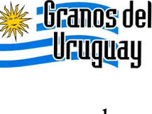 Granos del Uruguay